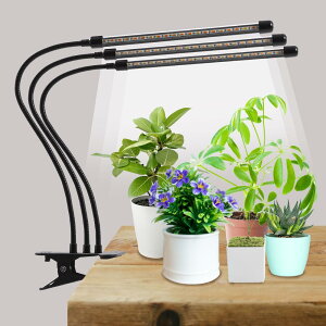 Cg led ubN Nbv ApCg ϗtA A ͔|  Cg 360xA[ /؂ւ/^C}[