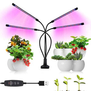 A琬Cg 80led 40W A琬ledCg^C}[ usbd 10iK 3F̃IvV xpx߉\ ev͌ʂɐł܂ ƕs A琬v k͔|v