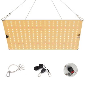 1200W ACgIRUV܂ރtXyNgLEDA琬pCg A ϗtACg k͔|v ؍Hp