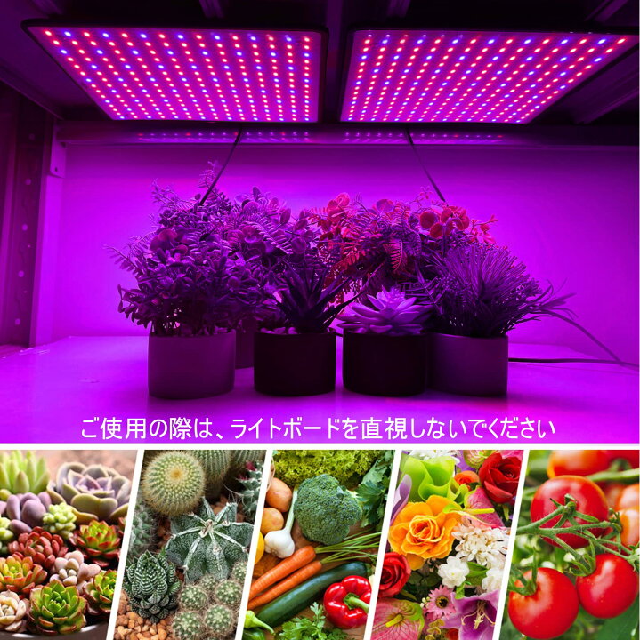 楽天市場】植物育成ライト led 育成用ライト 400W相当 植物 ledランプ 
