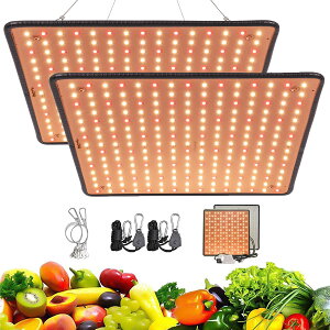 A琬Cg LED 400W gFn 琬p LED pl Px A͔|Cg tXyNg Apled ȃGl  k͔|v A琬 ƒ؉ | ؍H t