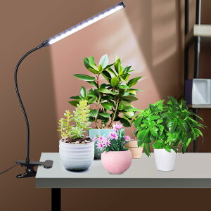 Nbv^C~O@\i3 H/9 H/12 Hj5\360°\As3ނ̓_[hdW[V[