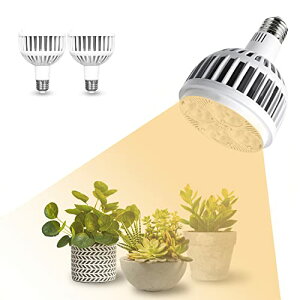 LEDA琬Cg 80W A琬Cg LED E26 tXyNg M 萫 蒷 ϗtA Cg ƒ؉ |pi k͔| Cg 琬 Cg A琬pv 
