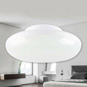 LEDCg LEDV[OCg F 5000k 5000lm 25W V[OCg 6 8 ^ a25cm LEDƖ V