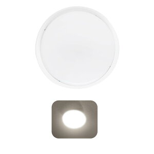 V[OCg h  hJ LED oX[ Ɩ LED|[` Ǌ| 10W 2000lm 100W ^ LED V[OCg  4.5 4 6 _ECg RpNg