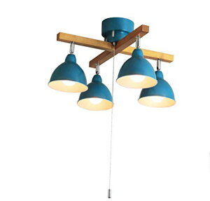 _˃}U[Yv V[OCg VƖ LEDΉ k rO Ebho[NX