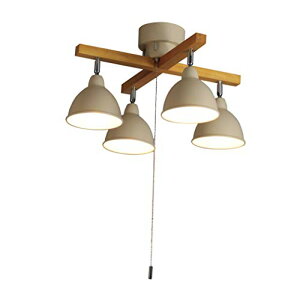 _˃}U[Yv V[OCg VƖ LEDΉ k rO Ebho[NX