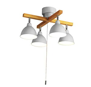 _˃}U[Yv V[OCg VƖ LEDΉ k rO Ebho[NX