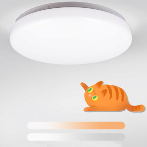 LEDV[OCg 8 őd͖33w 3500LMPx iKF LEDCg ȃGl 3F\ L/RNV@\  ȒPt Ɩ ߗ ^Cv L͈ V