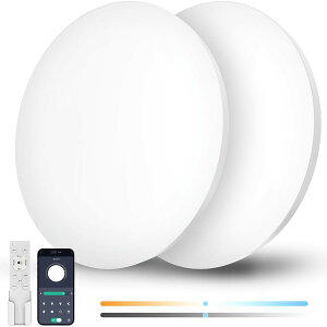 シーリングライト 6畳 28W 3600lm 2個セット 調光調色 リモコン操作 スマホ操作 天井照明器具 電気 蛍光灯 洋室 和室 リビング/キッチン/寝室/洗面所 適用 白枠2個セット