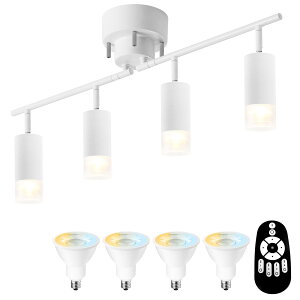 シーリングライト 4灯 スポットライト 450LM 消費電力4.5W(40W形相当) リモコン操作 E11口金 調光調色 アクリルカバー付 円筒ペンダ