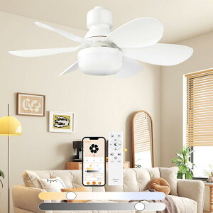 g[@ V[Ot@Cg LED F ʒ LEDV[Ot@Cg T[L[^[t 6 8 T[L[V  V[OCg t@tCg t@
