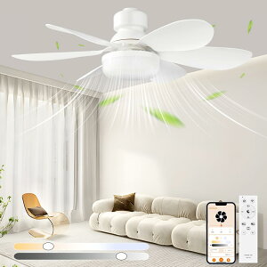 E26 LEDV[Ot@Cg T[L[^[t V[Ot@Cg LED EF߉\ LEDt@Cg t]XCb` X}z t@Ɩ Eߏ Rt g