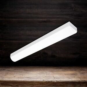 gt^ LEDx[XCg 20W^ ̌^LEDu V䒼t^ 16Wd Px2560lm LEDLb`x[XCg 632mm 2 LEDť^