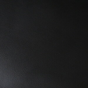 T`FA [N`FA Xc[ ۈ֎q NbV ~ 360] PUU[ wt ut LX^[t