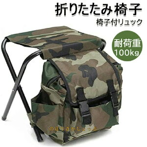 AEghA ܂肽݃`FA obNpbN`FA ֎qtbN hۉۗpbN y ω׏d100kg ^т₷ [ȒP @\ e oR ނ Lv O sp AEgh