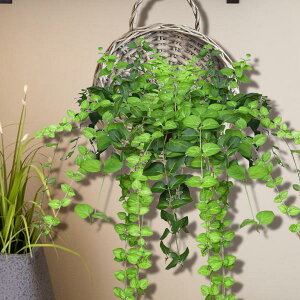 ҂ݍ݃nMOoXPbg ِ 莝[oXPbg Ő rO[ |[`p M