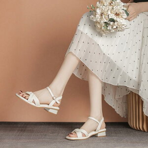 X^CAbvIq[pvX nCq[T_ T_  `L[q[ Xgbv fB[XV[Y