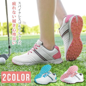 StV[Y fB[X V[Y XpCNX C ʋC  h Xj[J[ C L XpCNXStV[Y