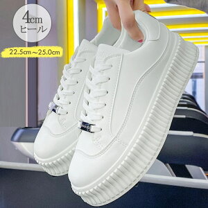 Xj[J[ fB[X [Jbg ؍t@bV C rV[Y {[ ₷ JWA EH[LO ʊw s  zCg