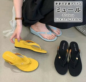 r[`T_ EFbW\[ ~[T_ ~[ Xgbv T_ ƂȂ r ₷ ₷  JWA l p