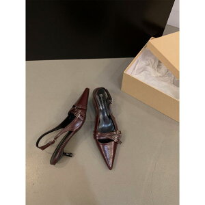 nCq[pbP[WwbhT_tƉĂ̐T_