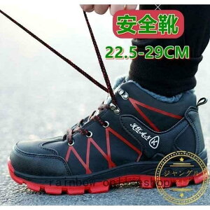 SCu[cnCJbgꃌfB[XYƌC{A~pSCܐی|cݔh~ʋCƗpi