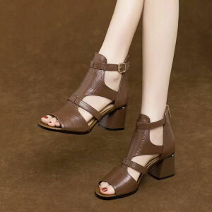 V[Y T_V[Yu[c ~bh\[q[pvX ĐV쑾ƃJWAȋ̌𓧂ɂ̌C fB[X ؍t@bV