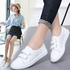 ӑĂȔCbpU[xNwpXj[J[pŏp傫ȃtbgq[