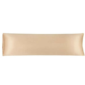 Jo[ TeD Ђ ڐG⊴ s[P[X ґ i  n VȂ  ꖇ