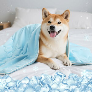 N[uPbg ybgpڐG⊴ Ђ ⊴ѕz puPbg ЂuPbg ʎgp ėp M ΍ ⊴ObY Lp @Ή\ ⊴}bg pr _