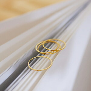 [AM[Ή 0.5mm ׃O 421 yAO jZbNXsL[OO Vv yAO ×pXeX fB[X Y ANZT[