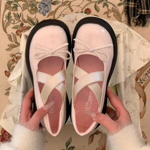 ߊvCp2025tV샌gaÂĂ{jkC