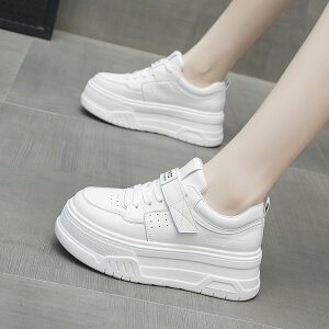 pzbgX^CxN[XAbvzCgV[Y2025tHVꃌU[wlCtHVOV[Y