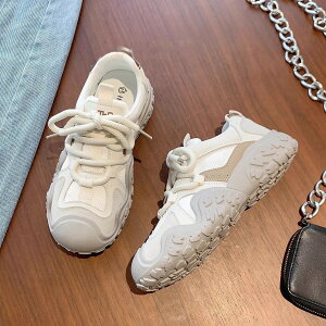 tẴfB[XX|[cV[Y̐VAlC̃I[}b`zCgV[YA\tg\[̌yʃjOJWAV[Y