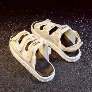 T_ fB[X Y  Xbp xg xN X|[cT_ X|T yAbN jZbNX 傫 r[`T_