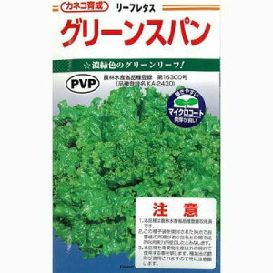 JlRc [t^X O[Xp R[g5000@PVP