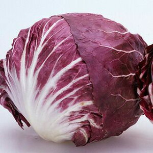 JlRc ^X bhXg[ R[g1000