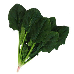 JlRc@zE\E @@ ق񂻂@V[^[@M3