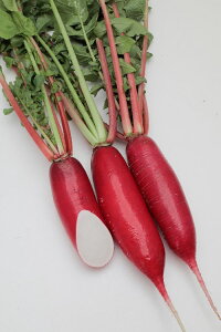 JlRc _CR 卪 @g@20ml