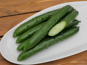 JlRc@LE@XgCJ[303@350