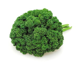 �J�l�R��c�@�p�Z���@�O�����h�@2dl