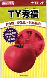 JlRc g}g TYG 1000