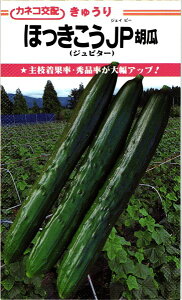 JlRc LE قJP 350