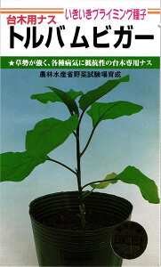 JlRc ؗpi gorK[ 1000