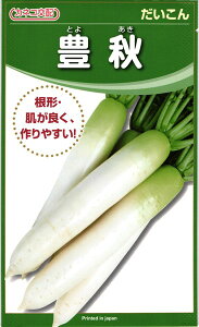 JlRc _CR 卪 LH R[g5000