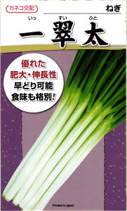 JlRc lM ꐉ 20ml