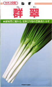 JlRc lM Qi񂷂jR[g6000