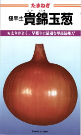 カネコ種苗 タマネギ 玉ねぎ 貴錦 20ml