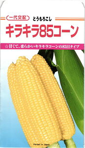 JlRc gERV R[ LL85R[ @200